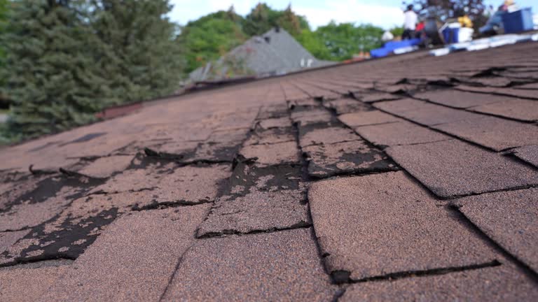 Best Roof Maintenance  in Clearwater, SC