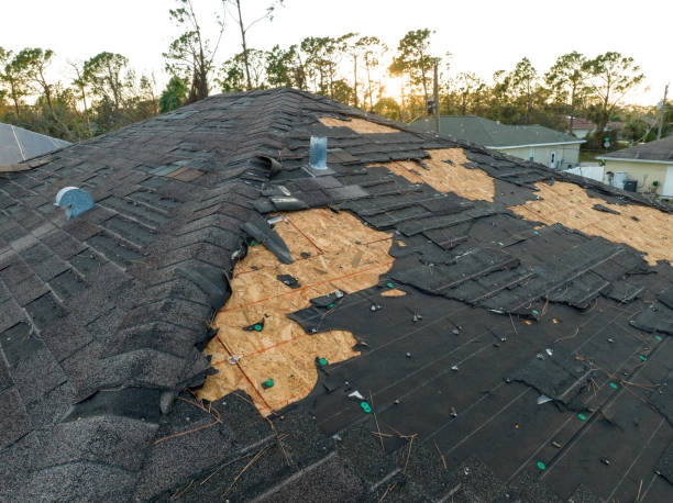 Best Rubber Roofing (EPDM, TPO)  in Clearwater, SC
